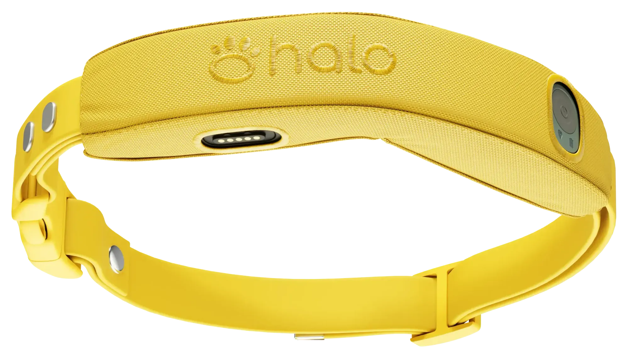 Halo Collar logo